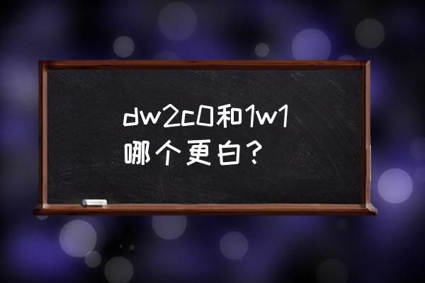 雅诗兰黛1w1和1c1哪个白一点 dw2c0和1w1哪个更白？