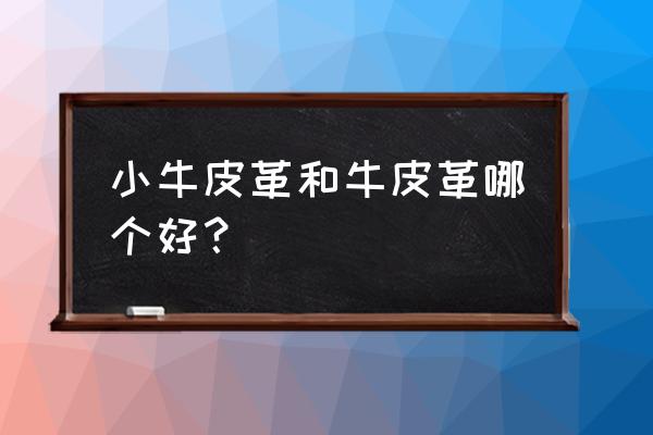 最好的牛皮革是什么 小牛皮革和牛皮革哪个好？