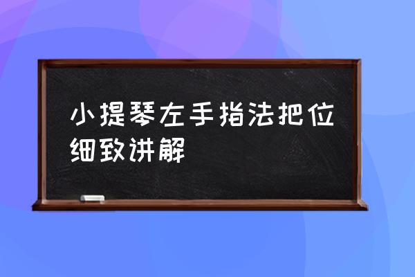 小提琴左手有什么技巧 小提琴左手指法把位细致讲解