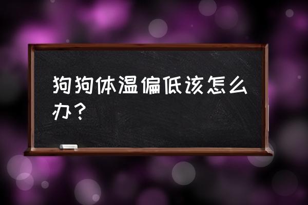 狗狗体温一般多少正常 狗狗体温偏低该怎么办？