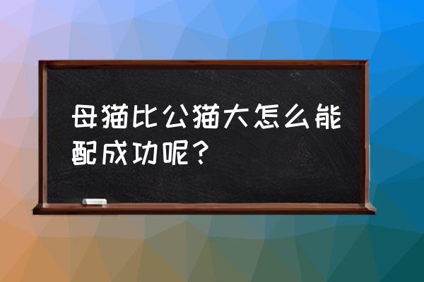 如何让母猫多产仔 母猫比公猫大怎么能配成功呢？