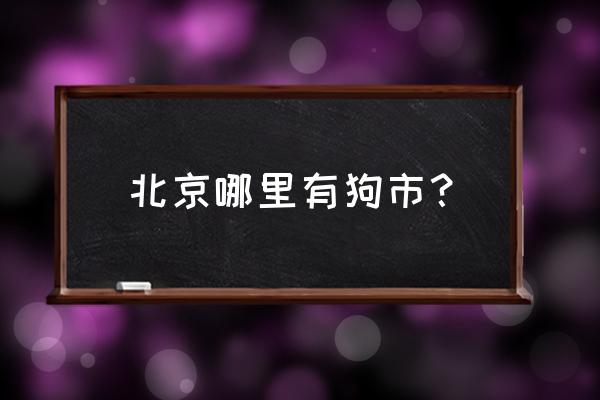 北京宠物美容学校排名榜前十 北京哪里有狗市？