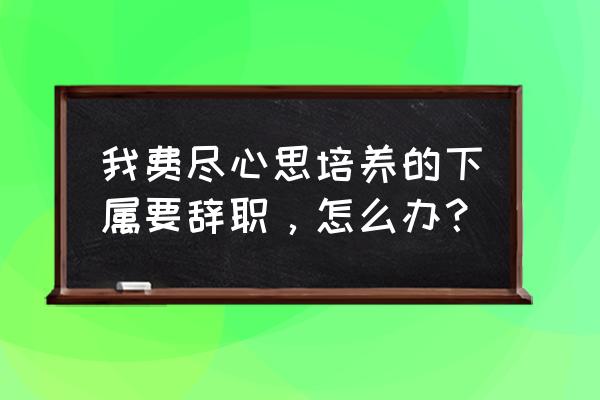 企业激励员工年底留任 我费尽心思培养的下属要辞职，怎么办？