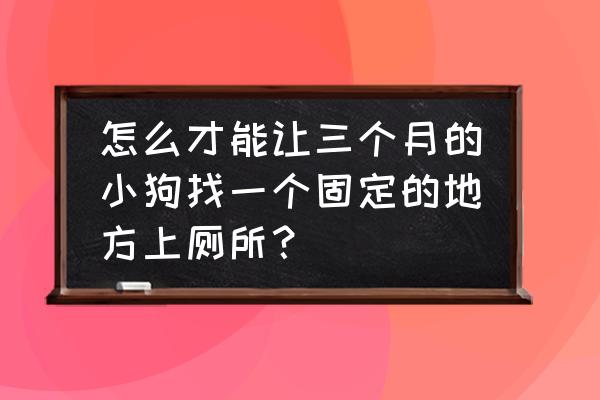 怎么让狗狗嗅味道找东西 怎么才能让三个月的小狗找一个固定的地方上厕所？