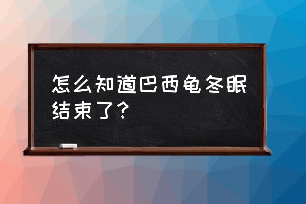 怎样辨别乌龟是冬眠还是死了 怎么知道巴西龟冬眠结束了？