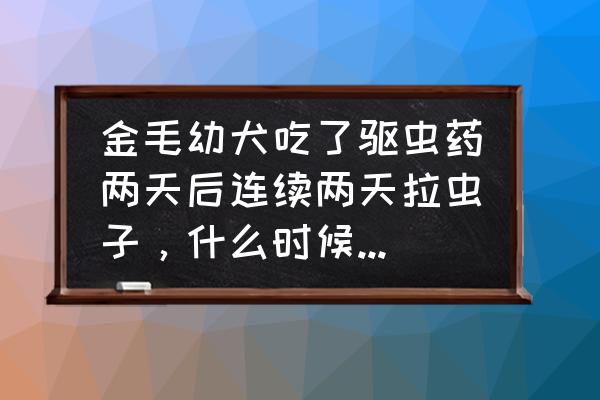 金毛幼犬体外驱虫有什么反应 金毛幼犬吃了驱虫药两天后连续两天拉虫子，什么时候能够把虫子清理干净？