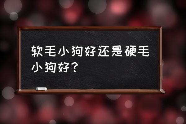 怎样给狗狗去除毛刺 软毛小狗好还是硬毛小狗好？