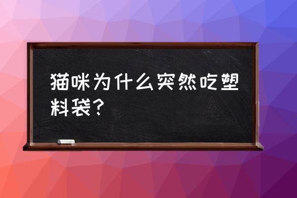 猫咪舔塑料袋子怎么回事 猫咪为什么突然吃塑料袋？