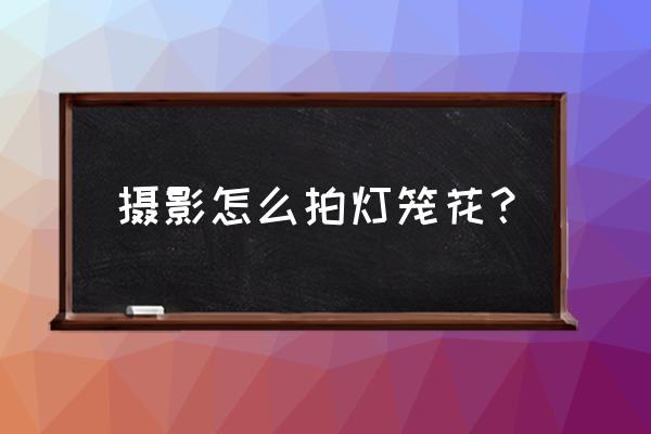 ps怎么把花卉照片变成黑白背景 摄影怎么拍灯笼花？