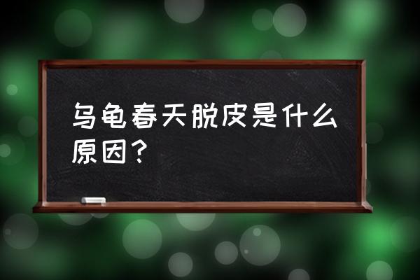 春季皮肤干燥起皮是什么原因引起 乌龟春天脱皮是什么原因？