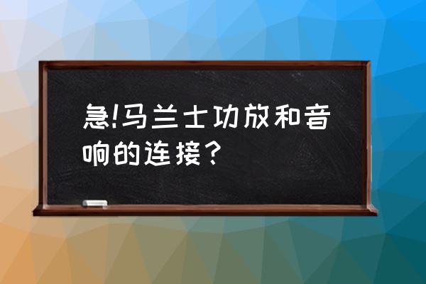 马兰士cd机重低音输出 急!马兰士功放和音响的连接？