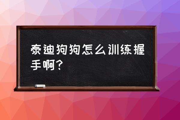 怎么训练狗狗握手才有效 泰迪狗狗怎么训练握手啊？