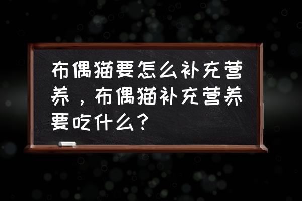 猫咪要吃什么补充营养 布偶猫要怎么补充营养，布偶猫补充营养要吃什么？