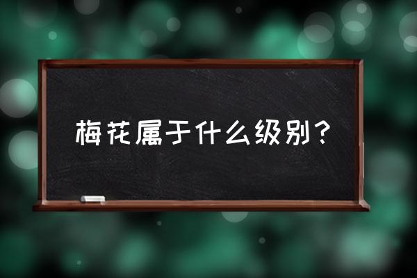 95新手表是什么标准 梅花属于什么级别？