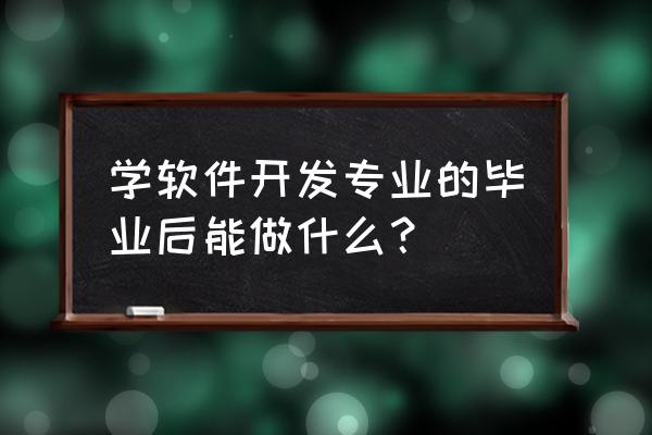 软件开发项目工资由谁分配 学软件开发专业的毕业后能做什么？