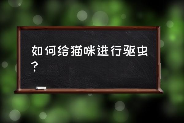 猫有虱子怎么处理干净 如何给猫咪进行驱虫？