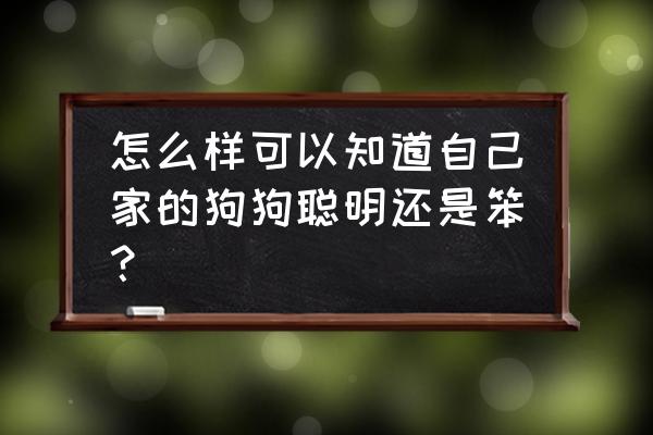 狗的智力测试图 怎么样可以知道自己家的狗狗聪明还是笨？