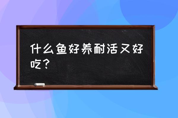 观赏鱼什么鱼最好养 什么鱼好养耐活又好吃？