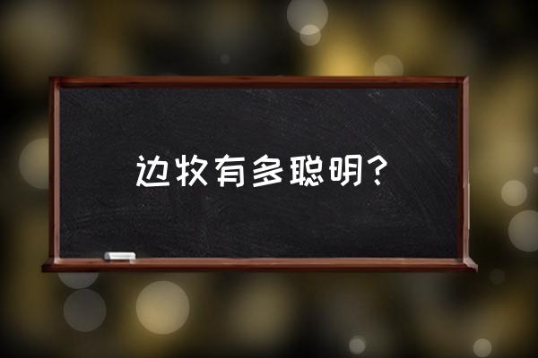 滑板入门大转弯 边牧有多聪明？