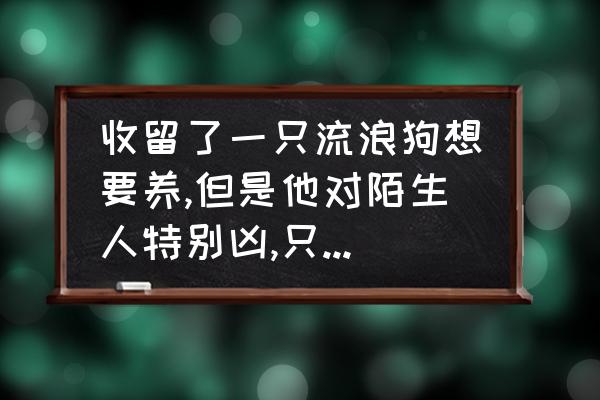 流浪狗最好养哪种 收留了一只流浪狗想要养,但是他对陌生人特别凶,只要是不认识的人从它身边路过就追着叫，怎么办？