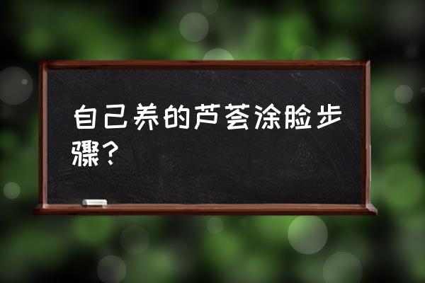 将芦荟直接抹在脸上有什么用 自己养的芦荟涂脸步骤？