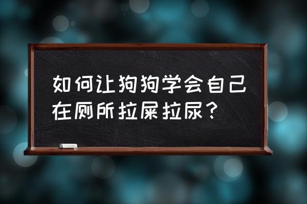 宠物狗怎么训练拉屎拉尿 如何让狗狗学会自己在厕所拉屎拉尿？