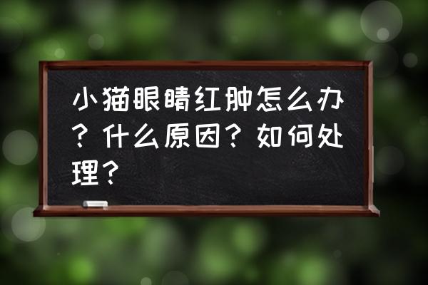 猫眼睛发炎能自愈吗 小猫眼睛红肿怎么办？什么原因？如何处理？