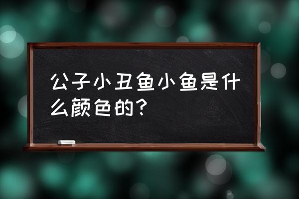 小丑鱼苗喂什么 公子小丑鱼小鱼是什么颜色的？