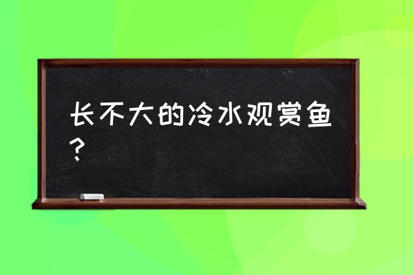 中小型热带鱼什么鱼最好养 长不大的冷水观赏鱼？