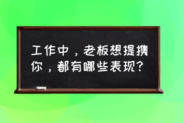 老板怎样才是真正的对员工好 工作中，老板想提携你，都有哪些表现？