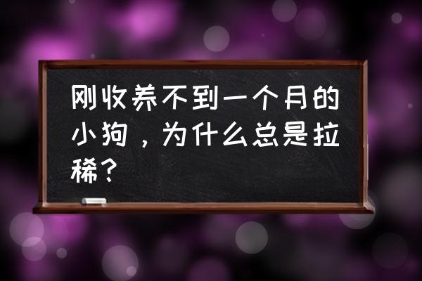 10天左右的小狗拉稀怎么办 刚收养不到一个月的小狗，为什么总是拉稀？