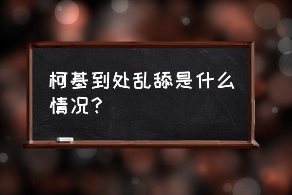 为什么狗狗最近老是吃草 柯基到处乱舔是什么情况？