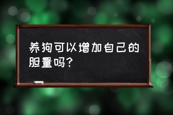 怎样才能教会胆小的狗狗爬楼梯 养狗可以增加自己的胆量吗？