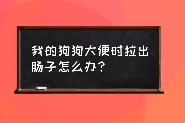 狗狗大便怎么快速解决 我的狗狗大便时拉出肠子怎么办？