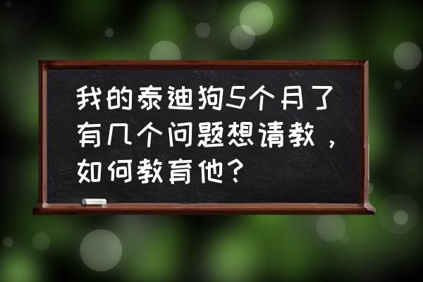 泰迪玩具怎么除臭 我的泰迪狗5个月了有几个问题想请教，如何教育他？