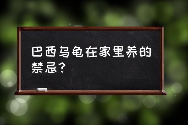 巴西龟养在家里可干养吗 巴西乌龟在家里养的禁忌？